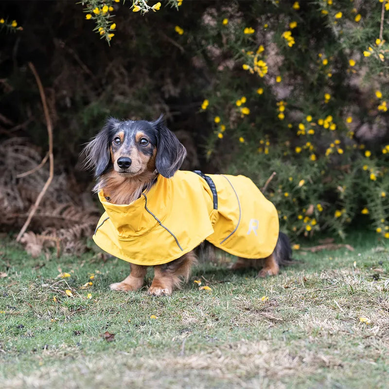 WeatherGuard Elite - All-Weather Dog Jacket