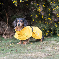 WeatherGuard Elite - All-Weather Dog Jacket