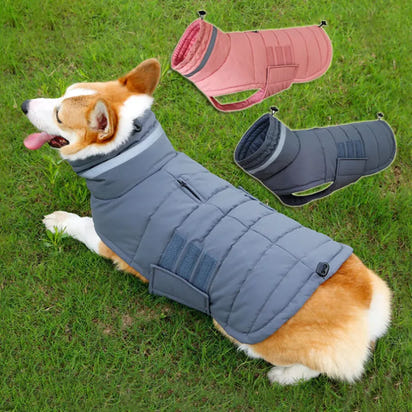 ThermoShield Elite - Insulated Waterproof Dog Coat for Winter