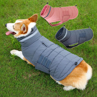 ThermoShield Elite - Insulated Waterproof Dog Coat for Winter