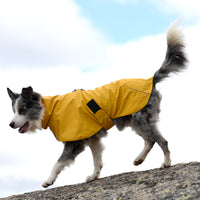 WeatherGuard Elite - All-Weather Dog Jacket