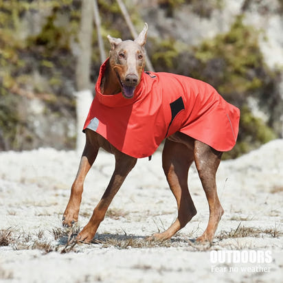 WeatherGuard Elite - All-Weather Dog Jacket