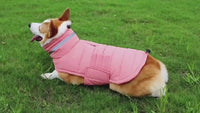 ThermoShield Elite - Insulated Waterproof Dog Coat for Winter